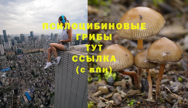 гашиш Абаза