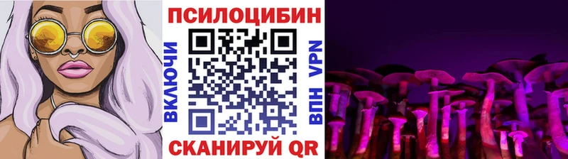 Галлюциногенные грибы мицелий  Сухиничи 